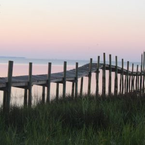 Abandoned Docks in Florida Coast 1