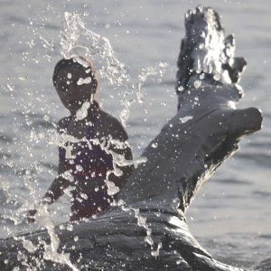 The Sparkle of Water