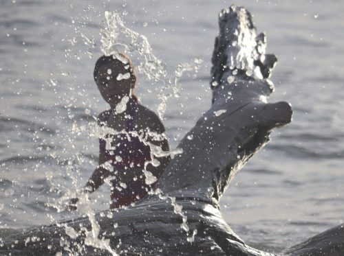 The Sparkle of Water